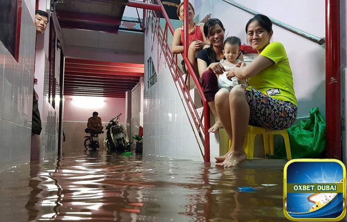 Nằm mơ nước tràn vào nhà đánh số mấy?